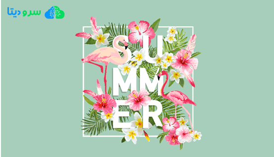 مقایسه 5 پلاگین برتر فشرده سازی تصویر وردپرس